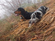 Ritorno al Monte San Martino e Corna di Medale il 25 aprile 2012- FOTOGALLERY